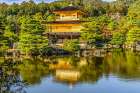 Colorful Kinkaku-Ji (Rokuon-Ji) golden pavilion, Kyoto, Japan. Dates to 1397. Art Print